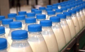 Четыре белорусские компании пробились на молочный рынок ЕС