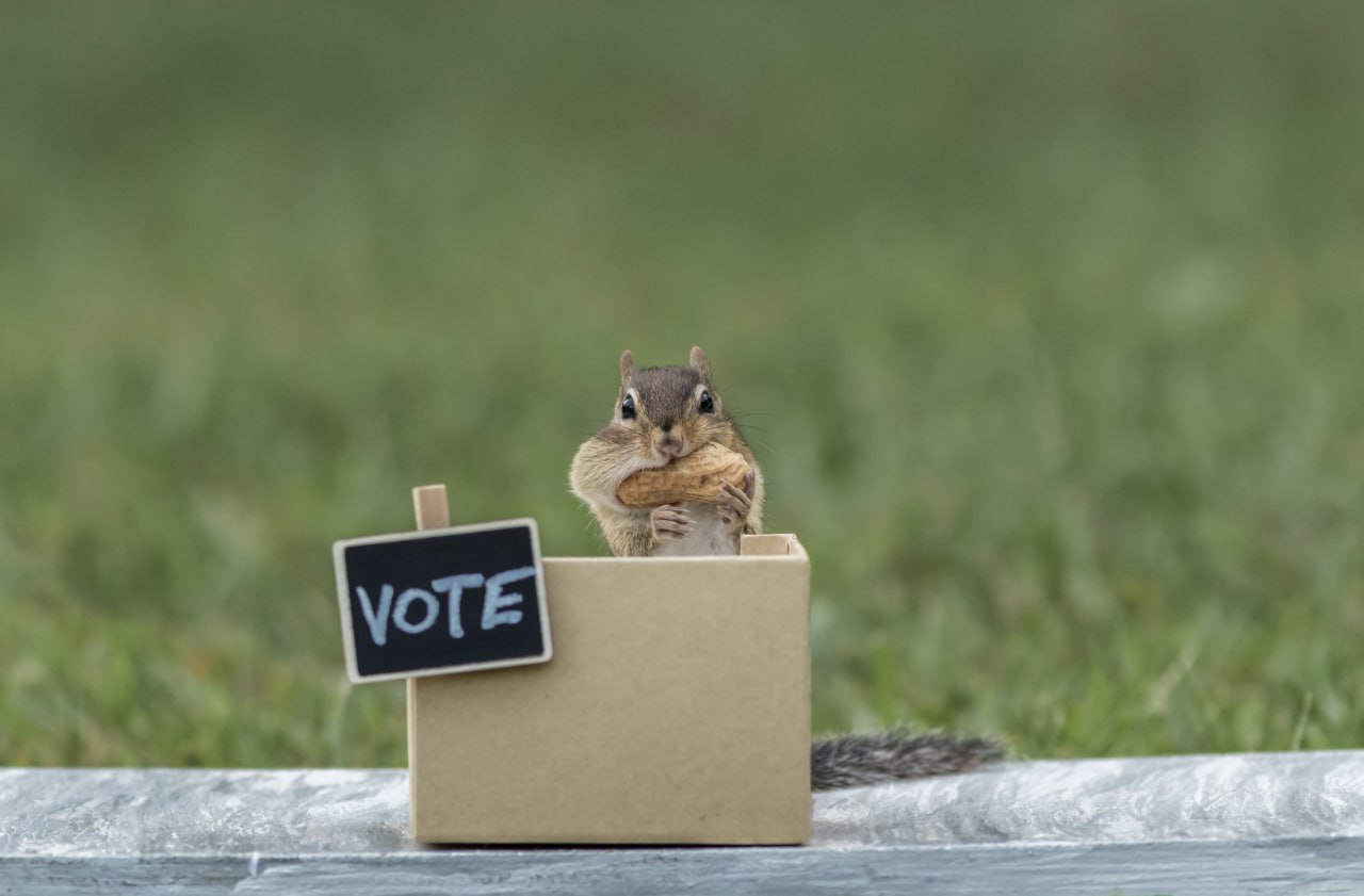 Start of Lukashenka’s Election Campaign